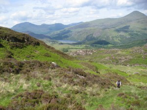 B&B Snowdonia